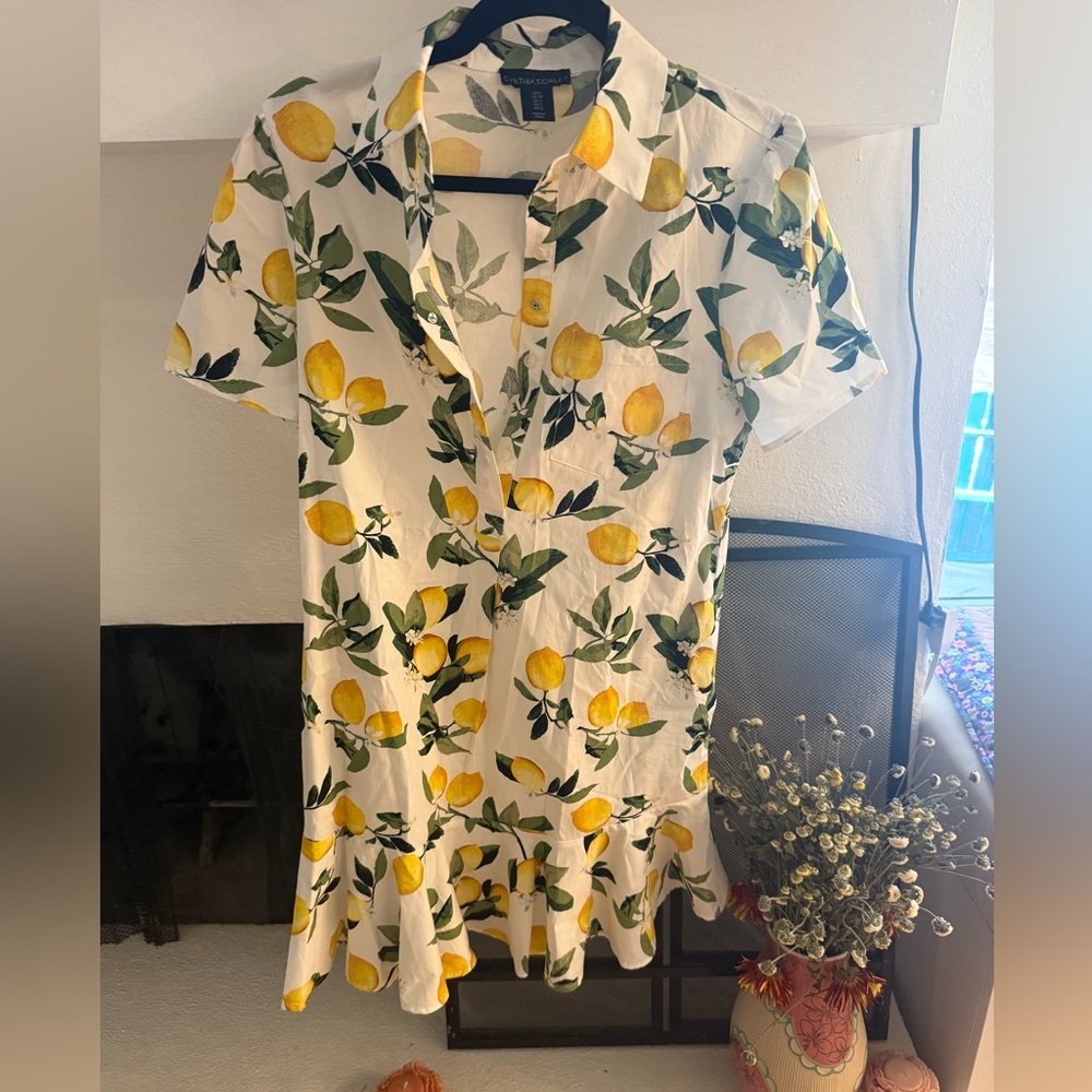 Cynthia Rowley Lemon Print Button Down Mini Dress